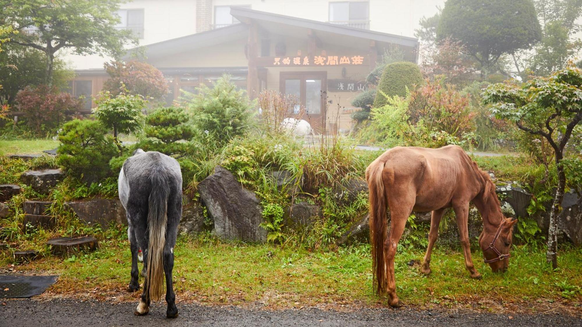 小诸市 天狗温泉浅间山庄酒店 外观 照片