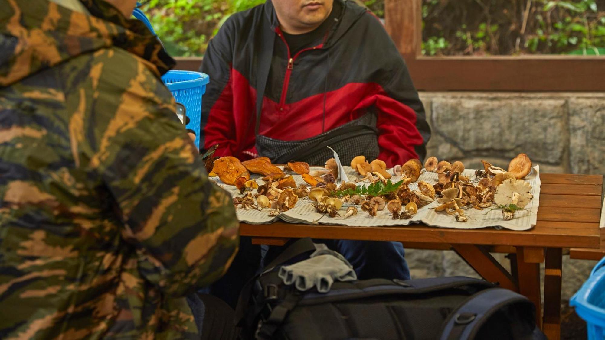 小诸市 天狗温泉浅间山庄酒店 外观 照片